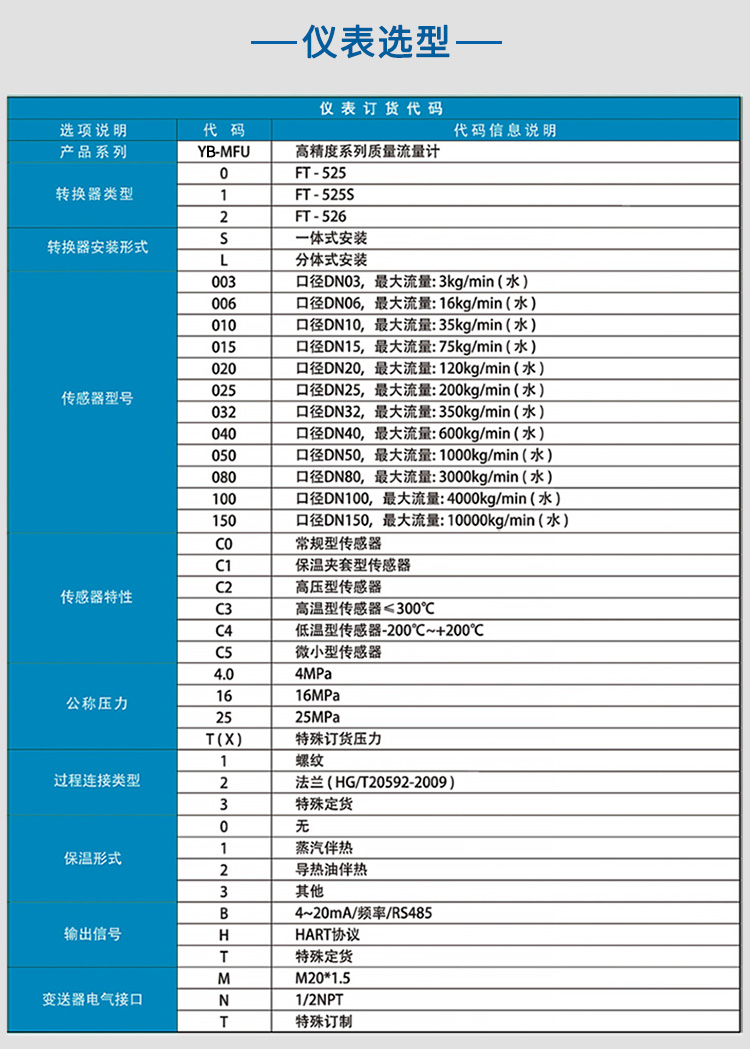 高粘度質(zhì)量流量計選項表