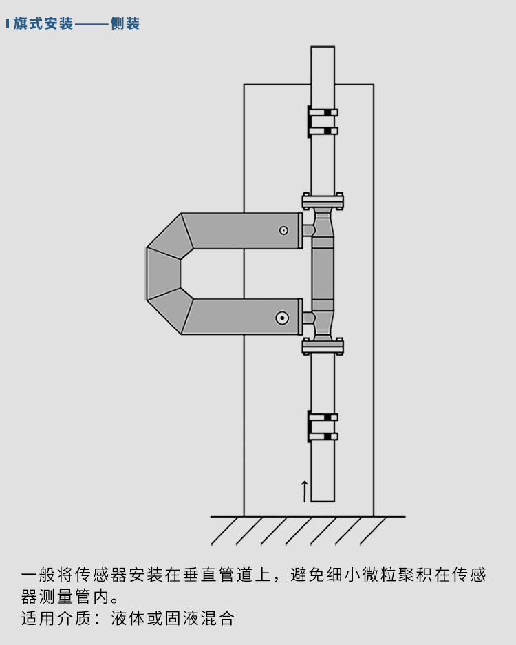 一體式質(zhì)量流量計垂直安裝示意圖